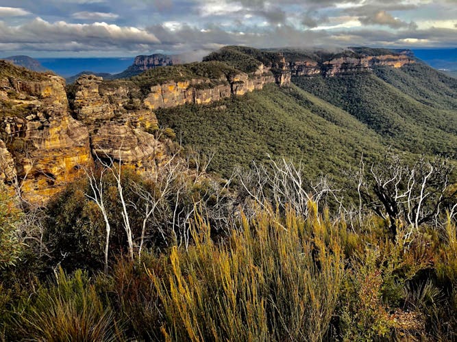 Helicopter flight to Blue Mountains  and 4WD tour