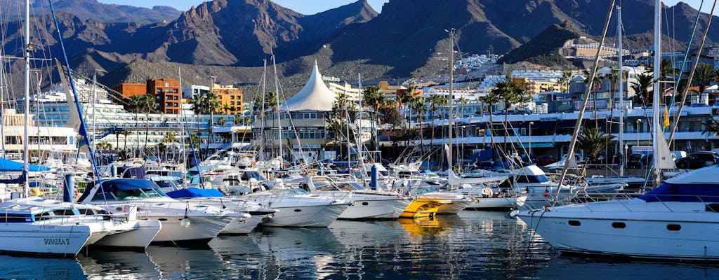 Costa Adeje private tuk tuk tour