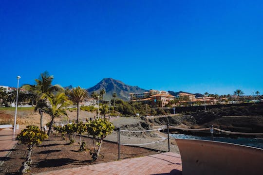Canarian farm private tuk tuk tour