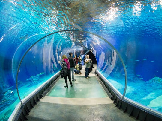 Wroclaw Zoo tickets with private transportation
