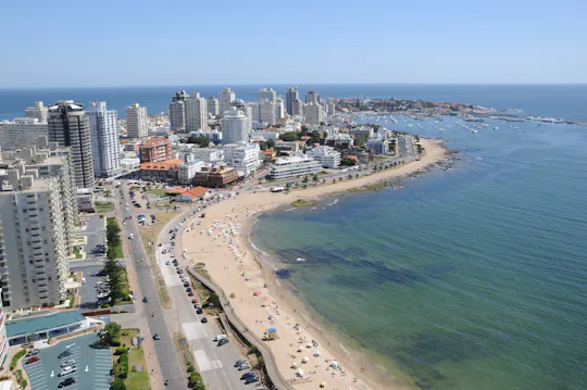 Excursion guidée d'une journée à Punta del Este au départ de Montevideo