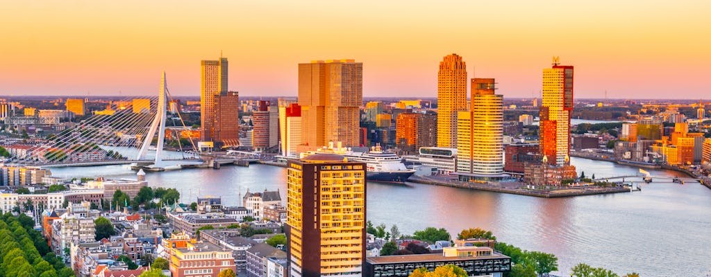 Visite à pied du rivage de Rotterdam avec billet d'entrée au musée maritime