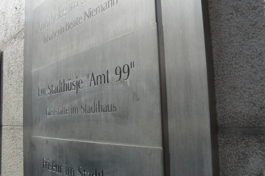 Bonn guided tour: curious places and stories