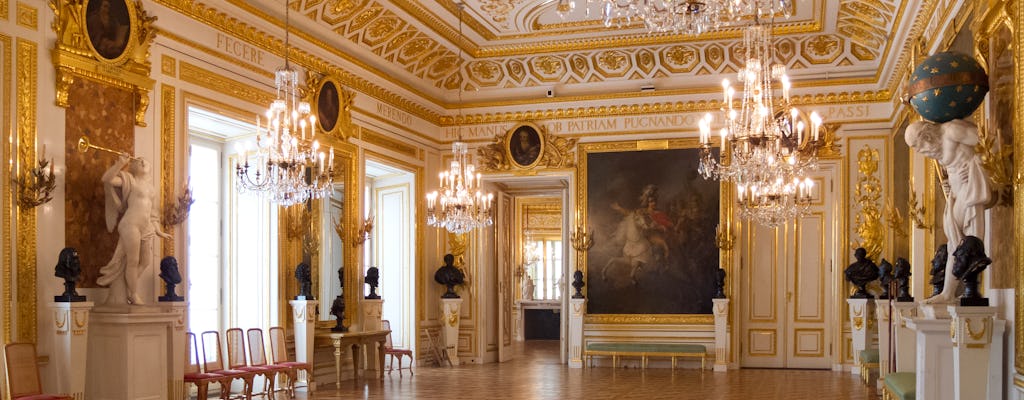 Visite privée du château royal de Varsovie avec accès prioritaire