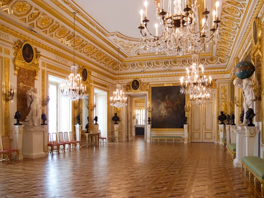 Visite privée du château royal de Varsovie avec accès prioritaire