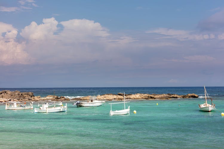 Private Formentera Tour Ultimate Experience