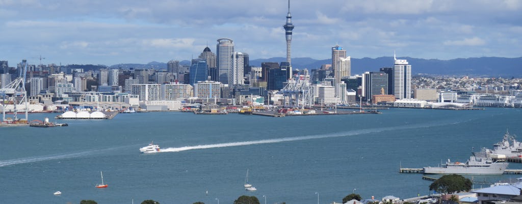 Half-day Auckland city sightseeing tour