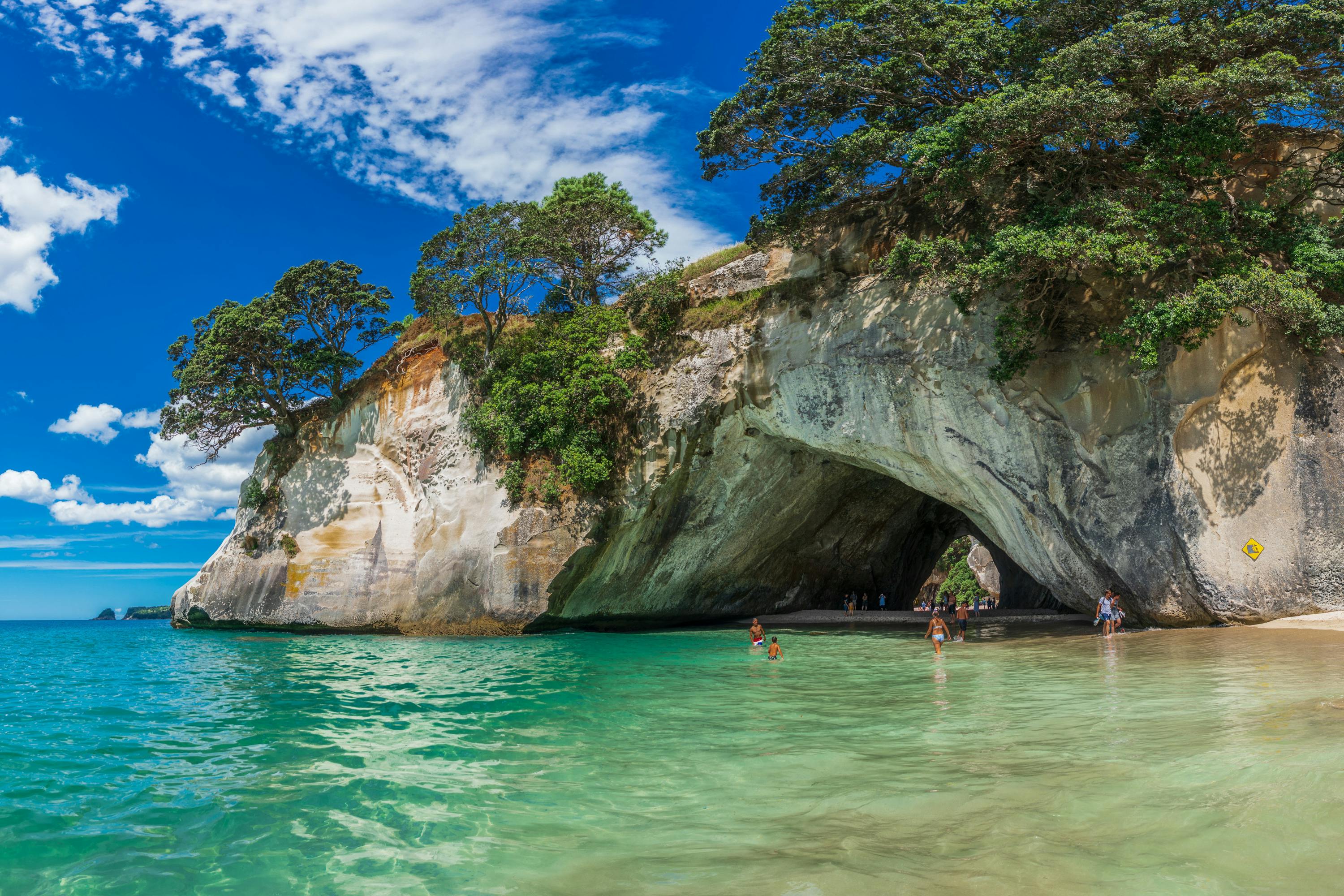 Coromandel full-day tour from Auckland Musement