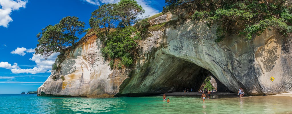 Coromandel full-day tour from Auckland