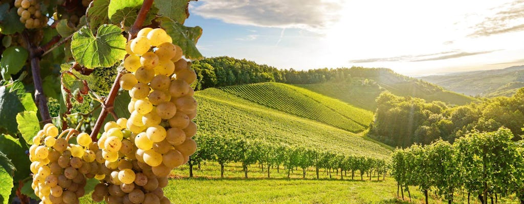 Full-day wine of Wallachia tour with lunch