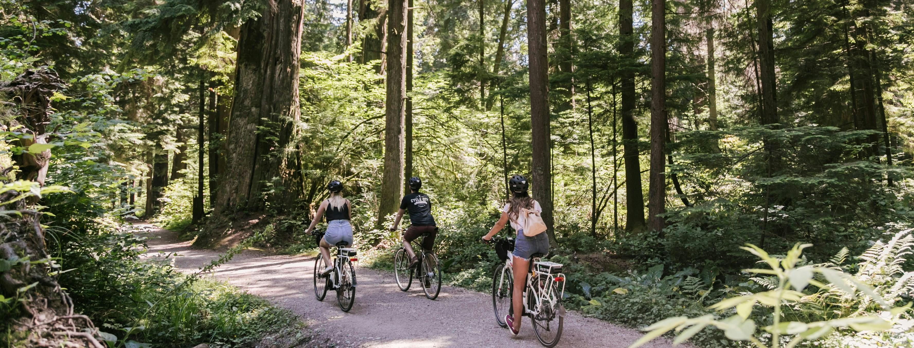Epicka elektryczna wycieczka rowerowa po Vancouver