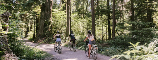 Vancouver epic electric cycling tour