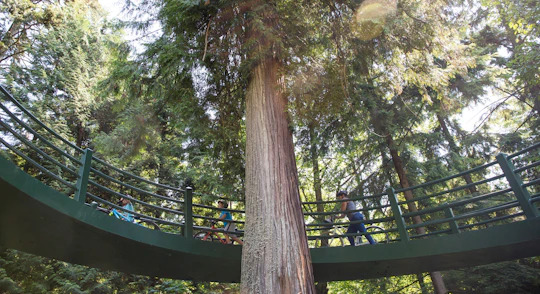 Vancouver Grand cycling tour