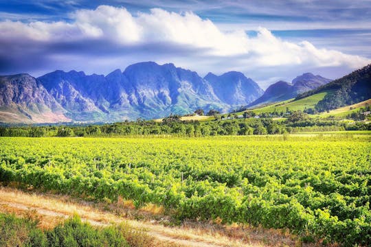 Tour de medio día a Babylonstoren desde Ciudad del Cabo
