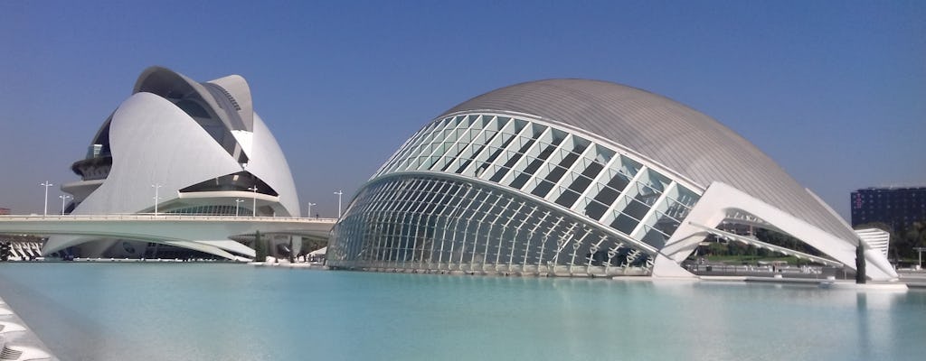 Visite à pied de la Cité des arts et des sciences