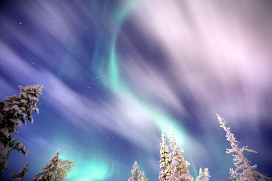 Aurora caçada em minivan de Saariselkä
