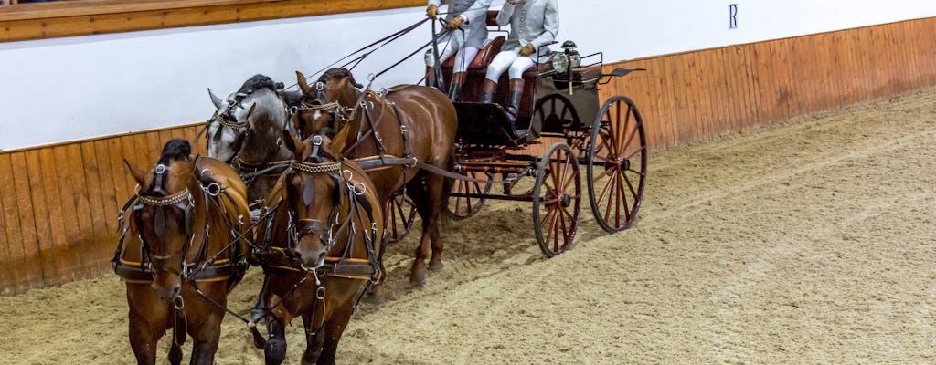Royal School of Equestrian Art Carriage Museum Tour