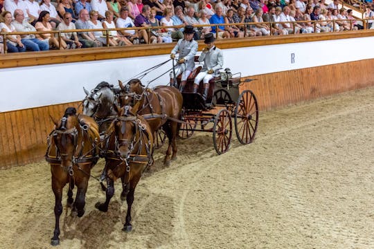 Königliche Reitkunst-Schule und Kutschenmuseum Tour