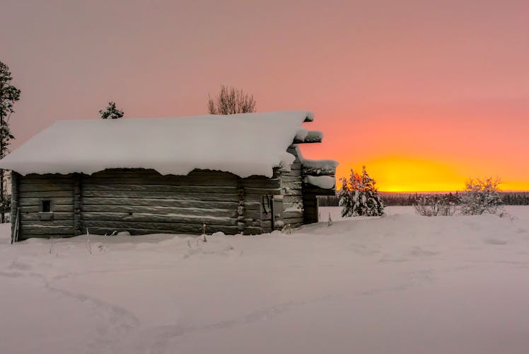 Pallas Reindeer Sleigh Tour