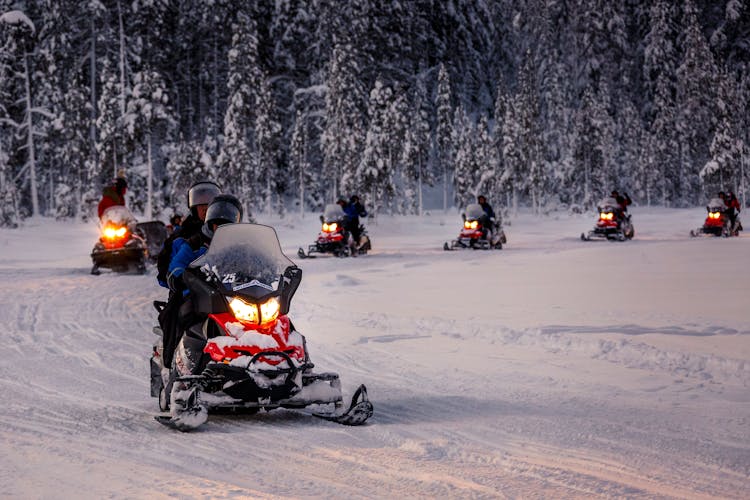 Pallas Snowmobile Adventure by Night - Adult Only