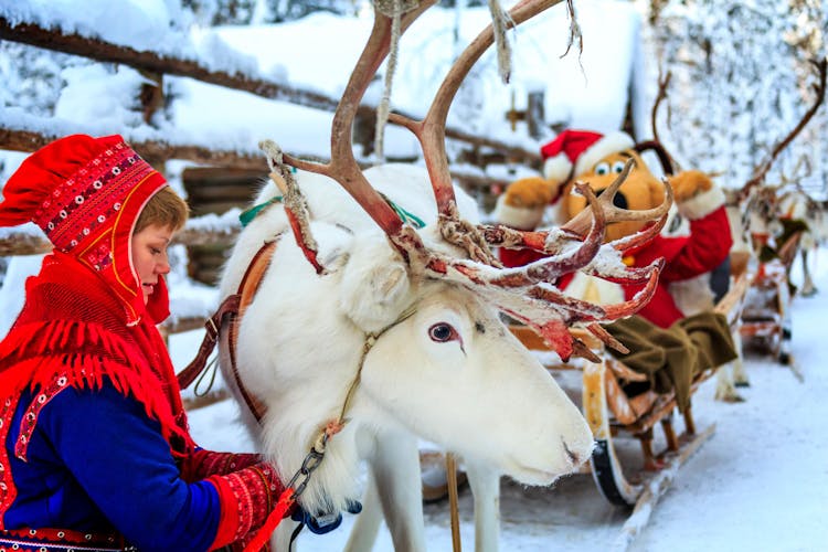 Pallas Reindeer Sleigh Tour