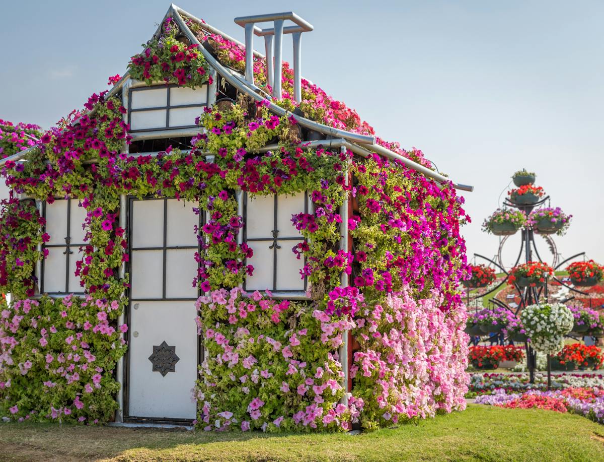 Toegangskaartje voor Miracle Garden