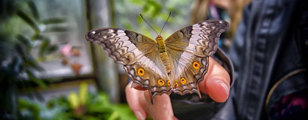 Boleto de entrada al jardín de mariposas