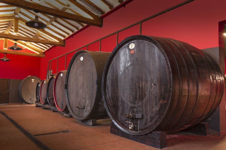 Tasting tour of balsamic vinegar of Modena at Aceto Balsamico del Duca