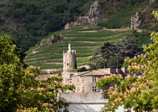 Tour di un'intera giornata nella Valle del Rodano settentrionale con degustazione