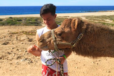 Passeio de camelo e encontro em Los Cabos