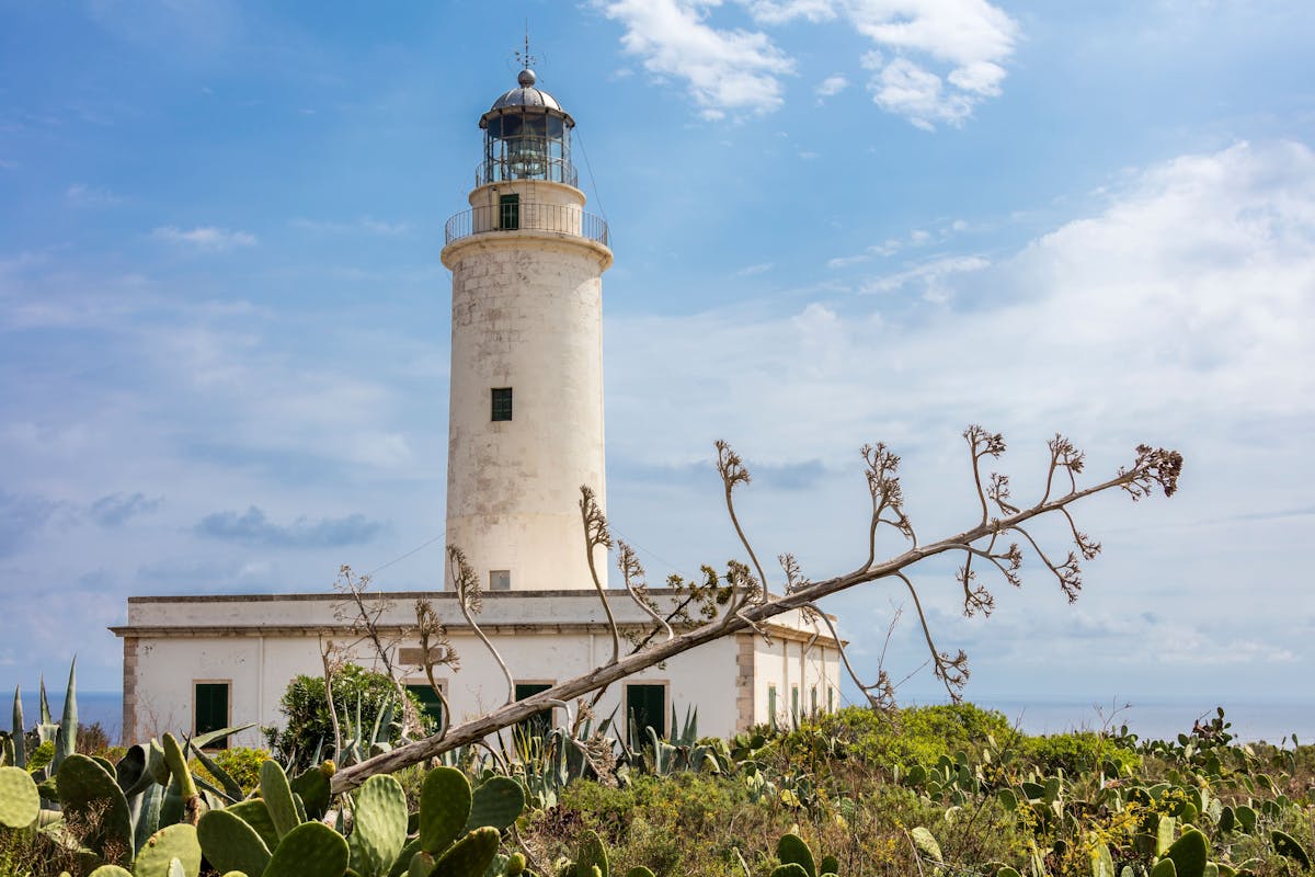 Formentera Ultimate Experience
