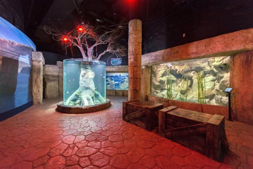 Malta National Aquarium Ticket