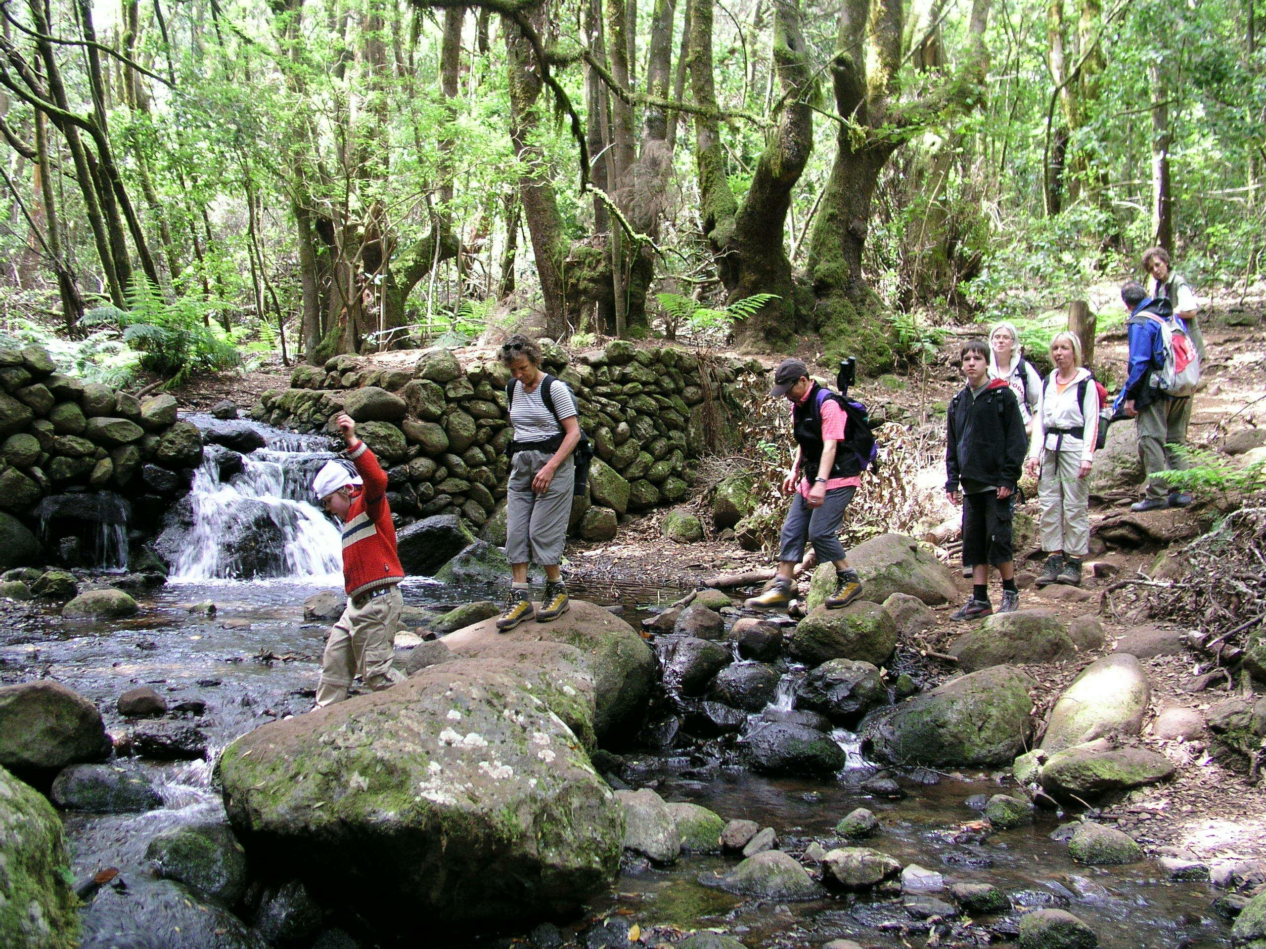 La Gomera Rainforest Hike