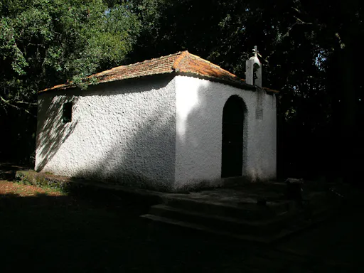 La Gomera Rainforest Hike