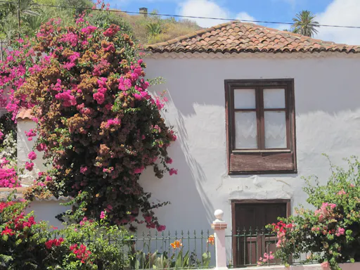 La Gomera Island Walking Tour