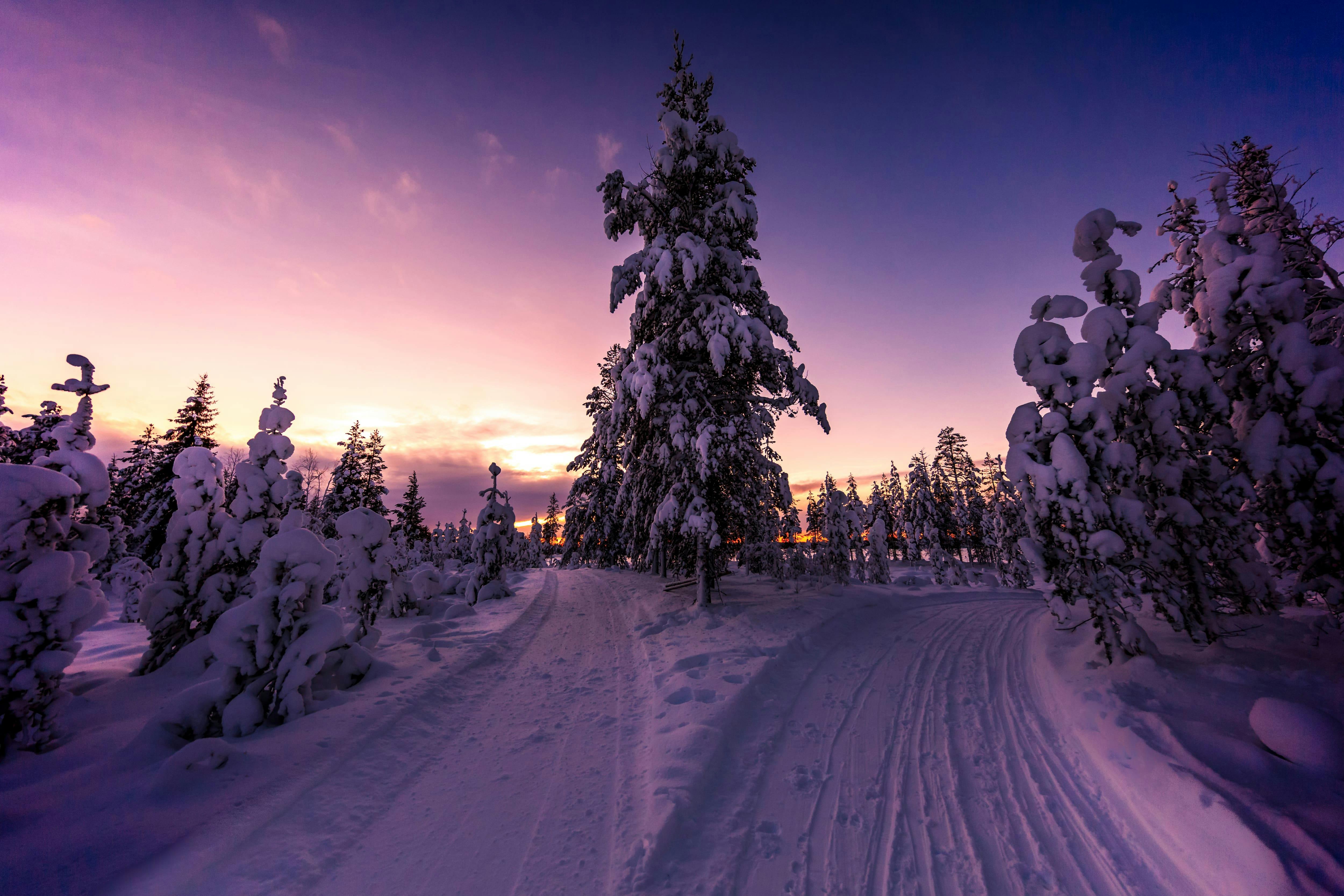 Yllas Snowmobile Day Tour