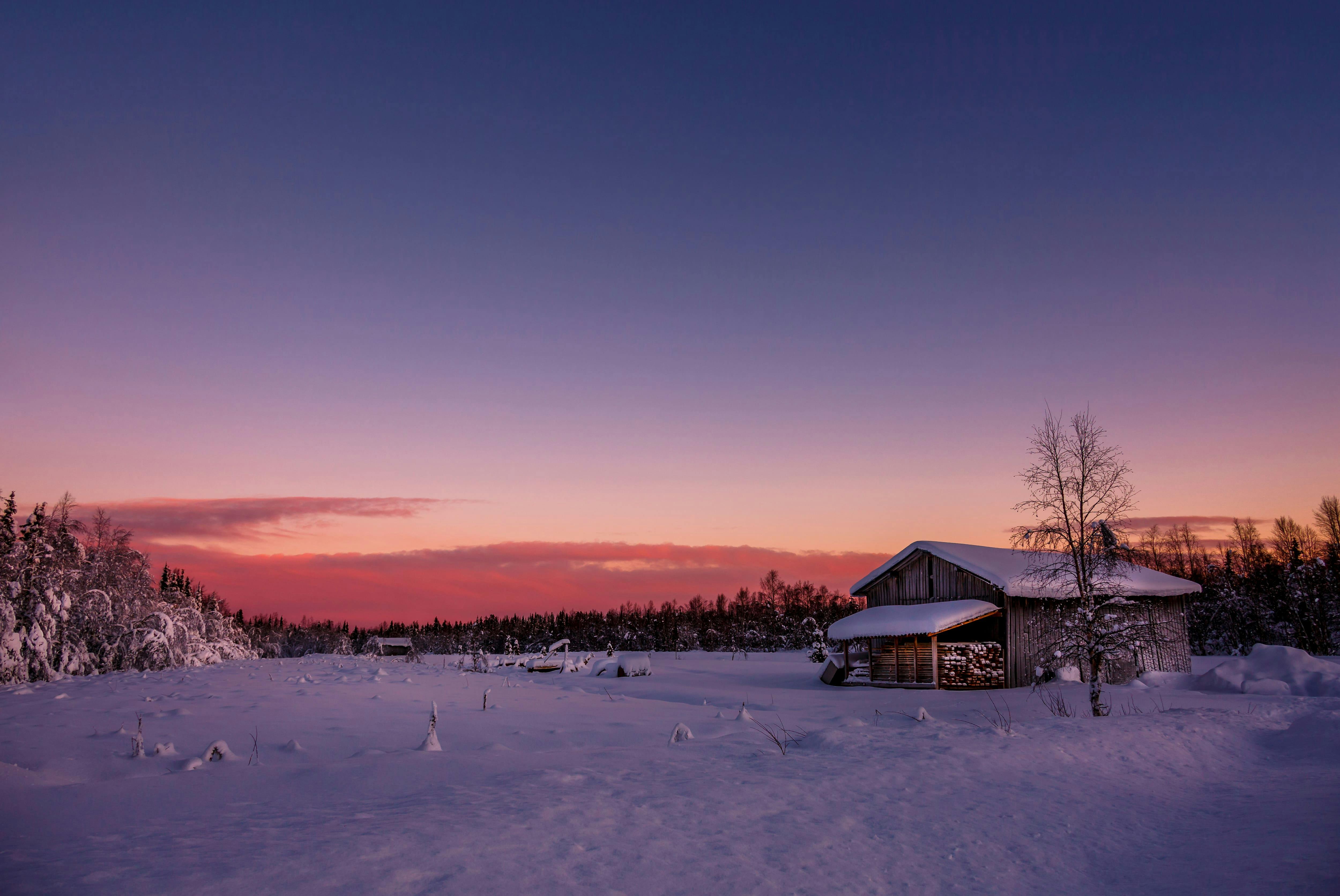 Yllas Reindeer Sleigh Tour