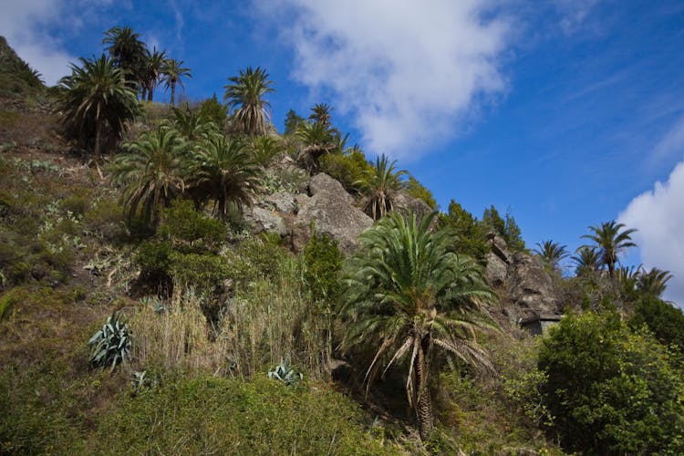 Hike Northwest La Gomera