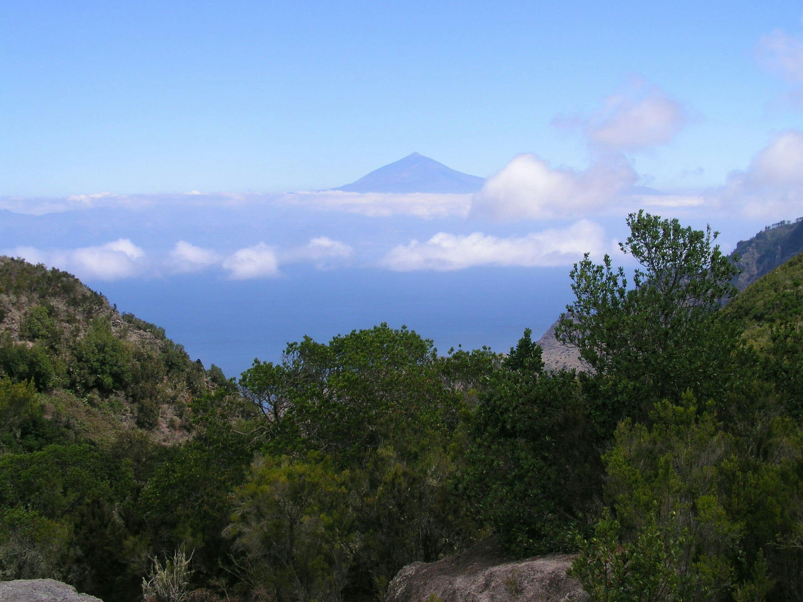 La Gomera Forest of Fable Hike