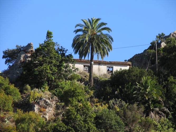 La Gomera Island Walking Tour