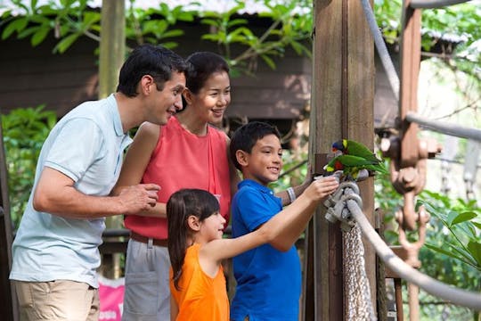 Private family tour of nature, birds and butterflies in Kuala Lumpur
