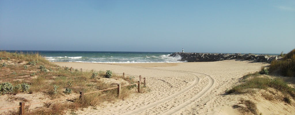 Tour de observación de aves en la laguna de Alvor