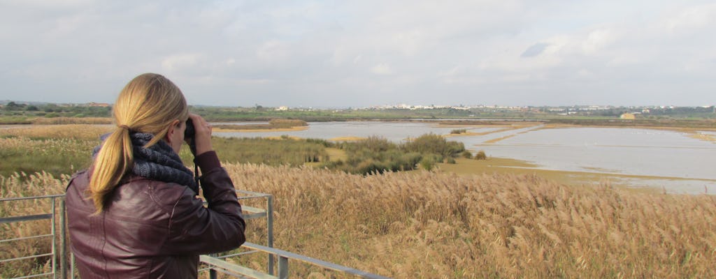 Tour de observación de aves de medio día en la Lagoa dos Salgados