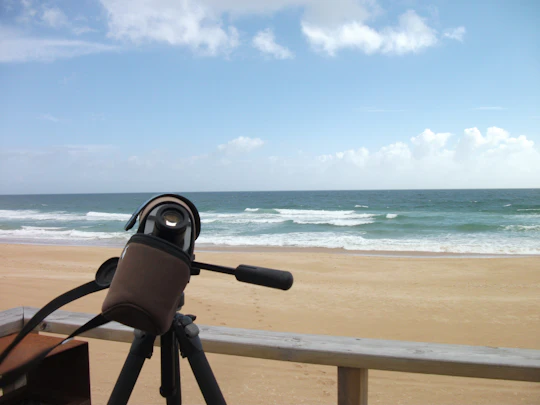Alvor dunes birdwatching tour