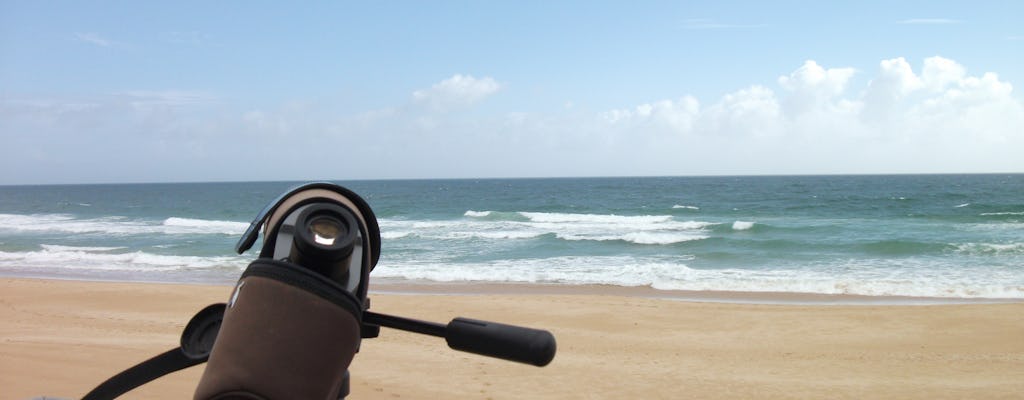 Alvor dunes birdwatching tour