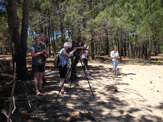 Sagres full-day birdwatching tour