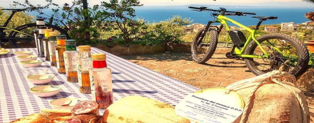 Tour enogastronomico in bici da Sorrento