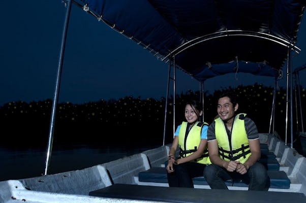Tour privado de Kuala Selangor Firefly Blinking con cena de mariscos