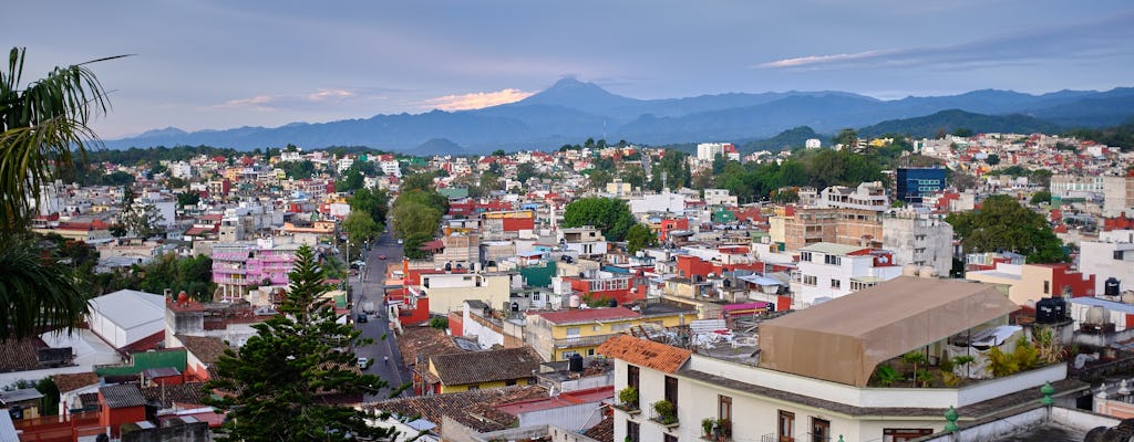 Visita guiada a Xalapa con visita al Museo del Café