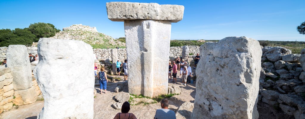 Torralba d'en Salort Ticket